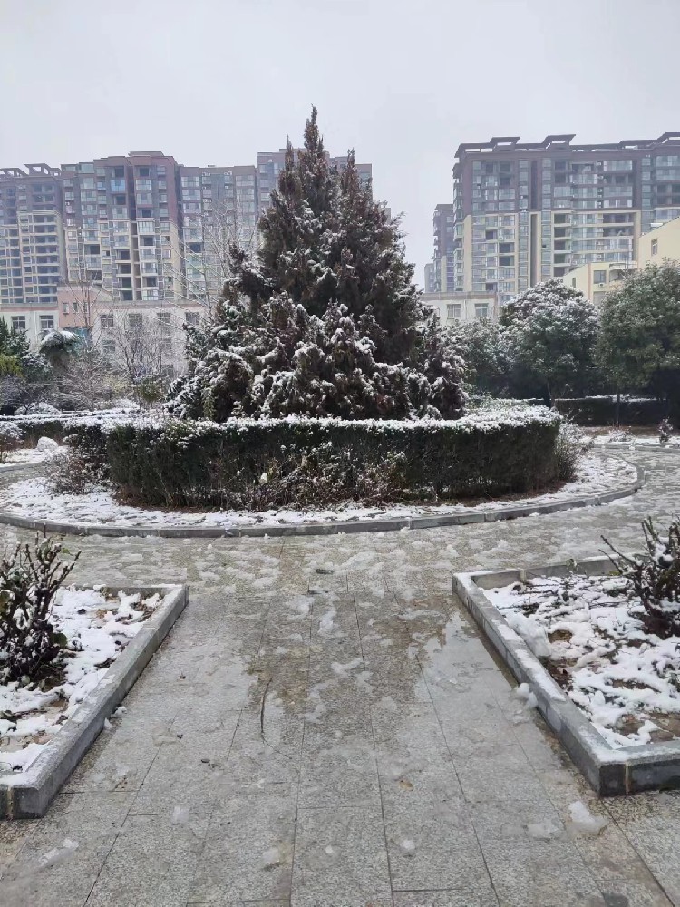 校园雪景4
