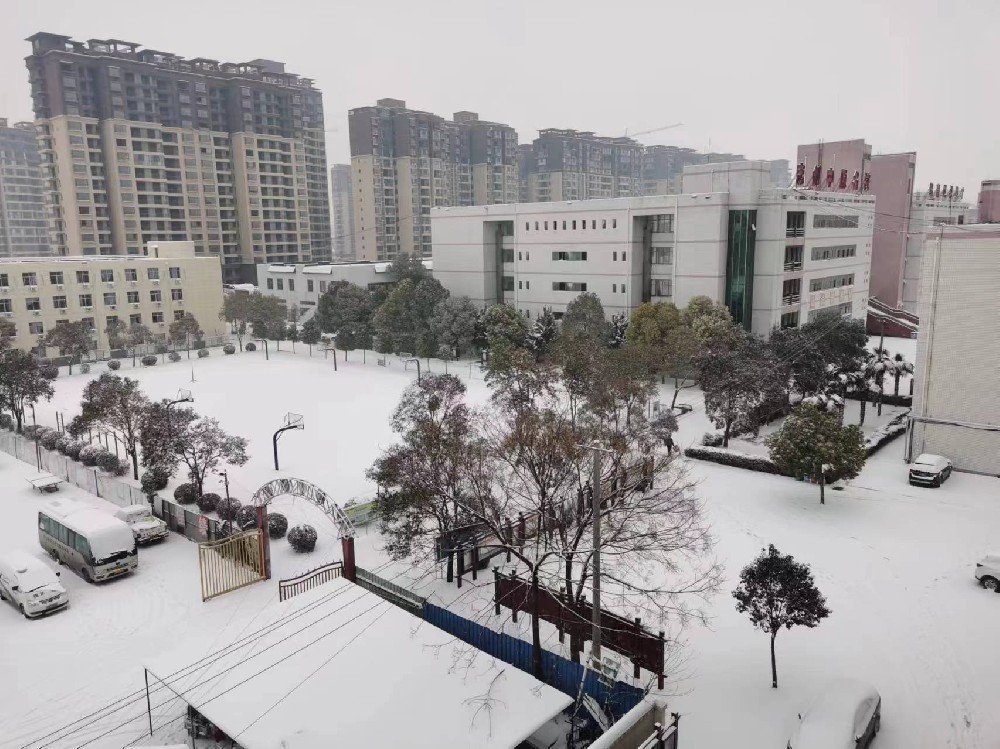 雪后的校园